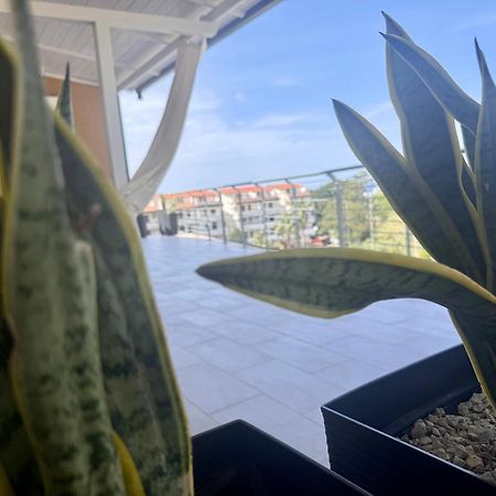 B&B Margani Tropea Ngoại thất bức ảnh