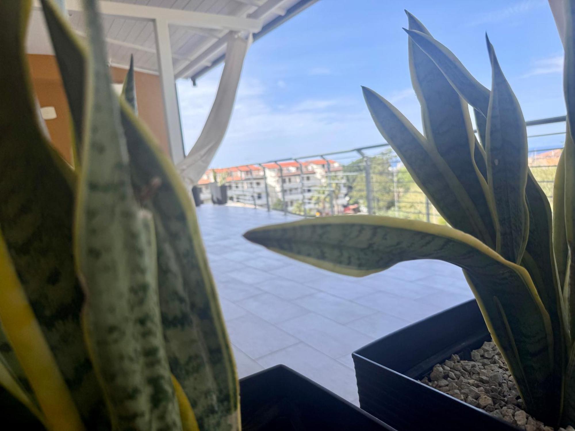 B&B Margani Tropea Ngoại thất bức ảnh